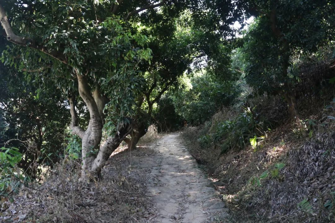 规划师带你打卡鲲鹏径第七、八段 规划师带你打卡鲲鹏径第七、八段
