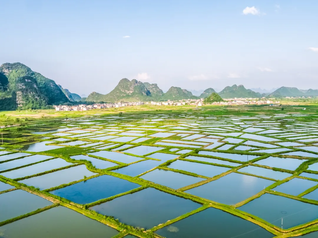 城乡融合发展中的土地制度联动改革 城乡融合发展中的土地制度联动改革