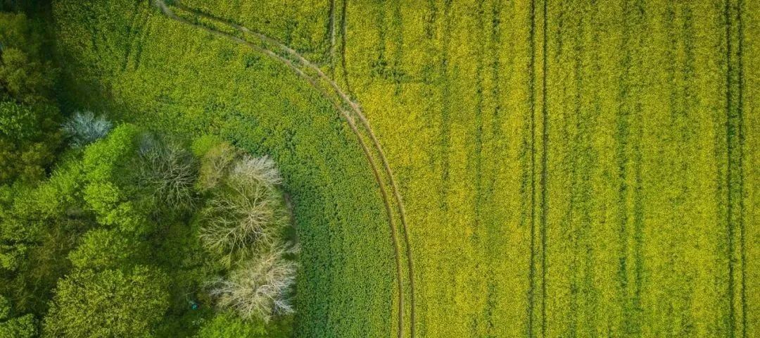 中规作品 | 延庆区绿色低碳美丽城市建设方案（2024年—2035年）