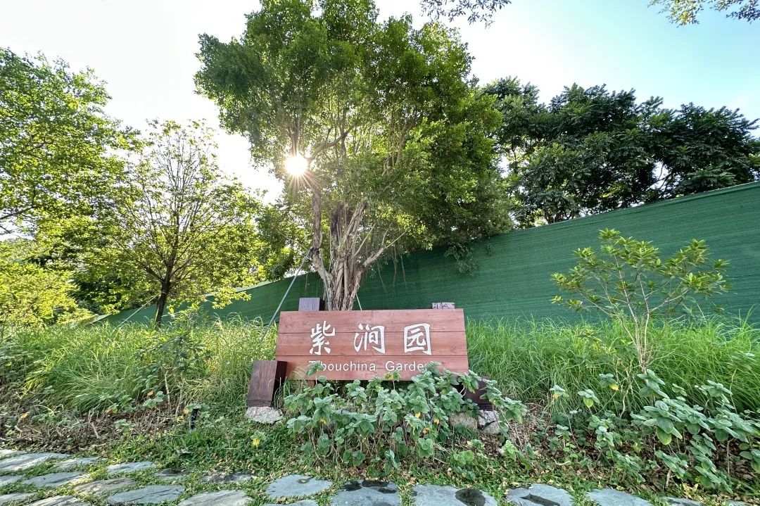 规划师带你打卡鲲鹏径第七、八段 规划师带你打卡鲲鹏径第七、八段