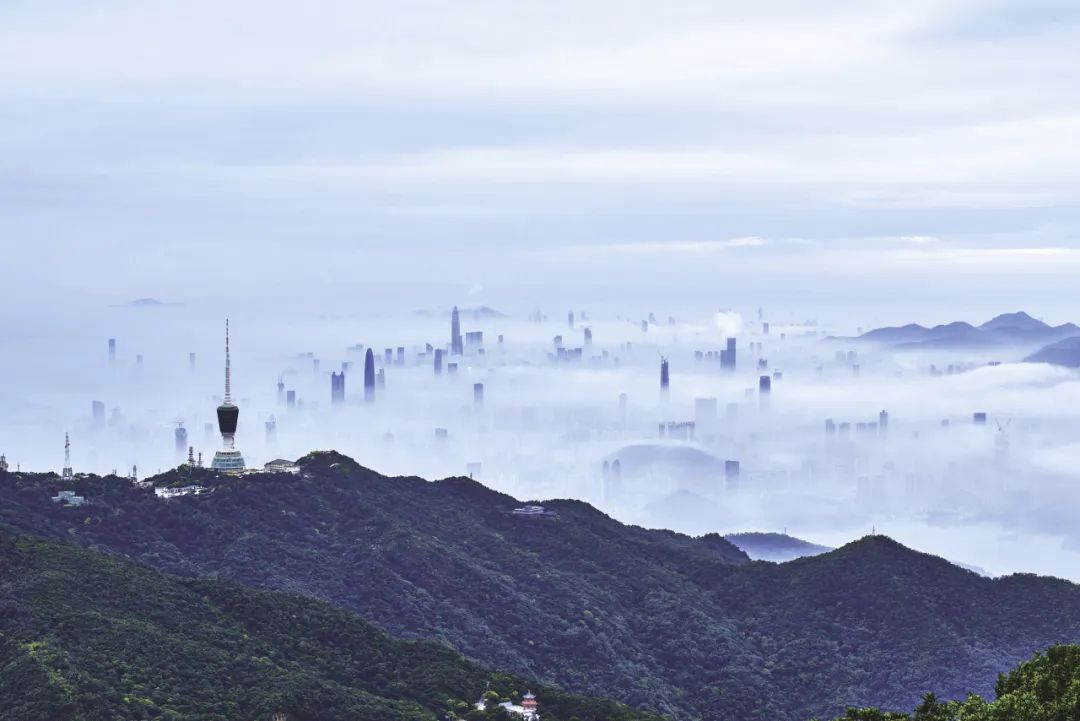 规划师对深圳每一次最大胆的预测过后来看都是保守的 规划师对深圳每一次最大胆的预测过后来看都是保守的