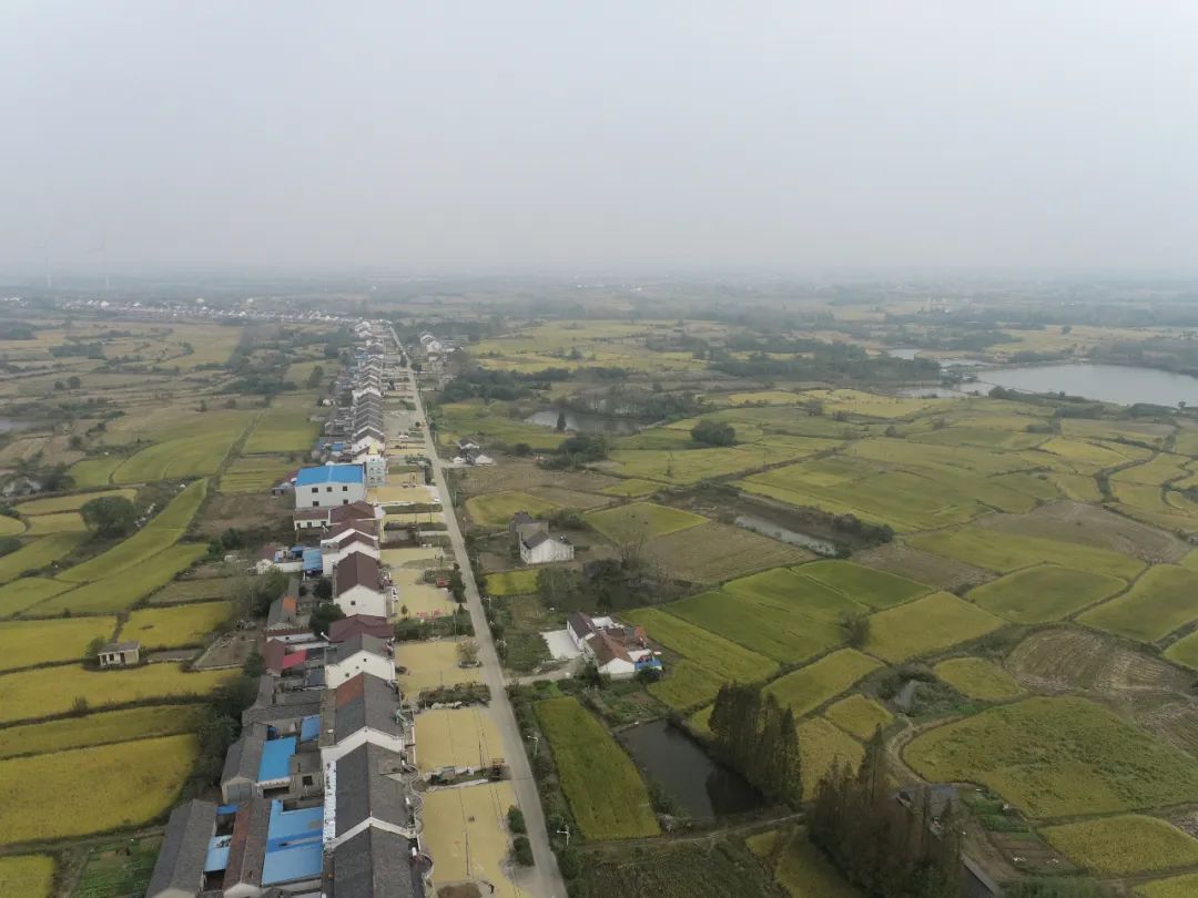 苏韵宁乡丨他们，绘出“千村千面”