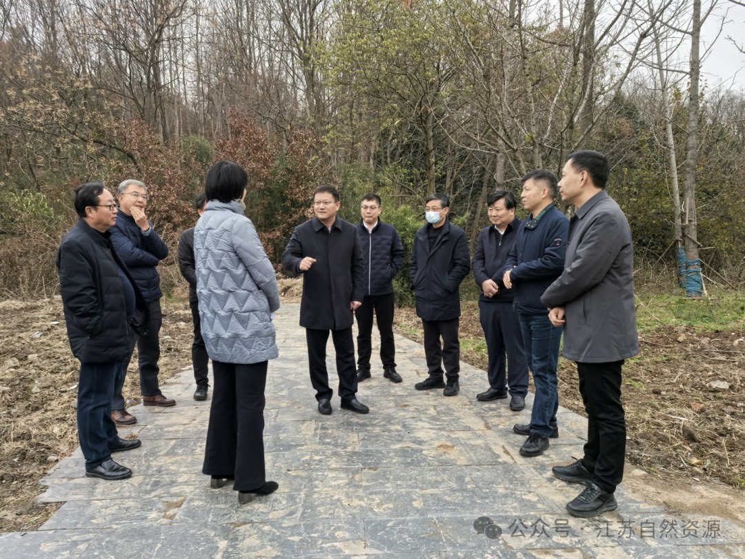 张国梁赴南京浦口调研指导加拿大一枝黄花除治工作