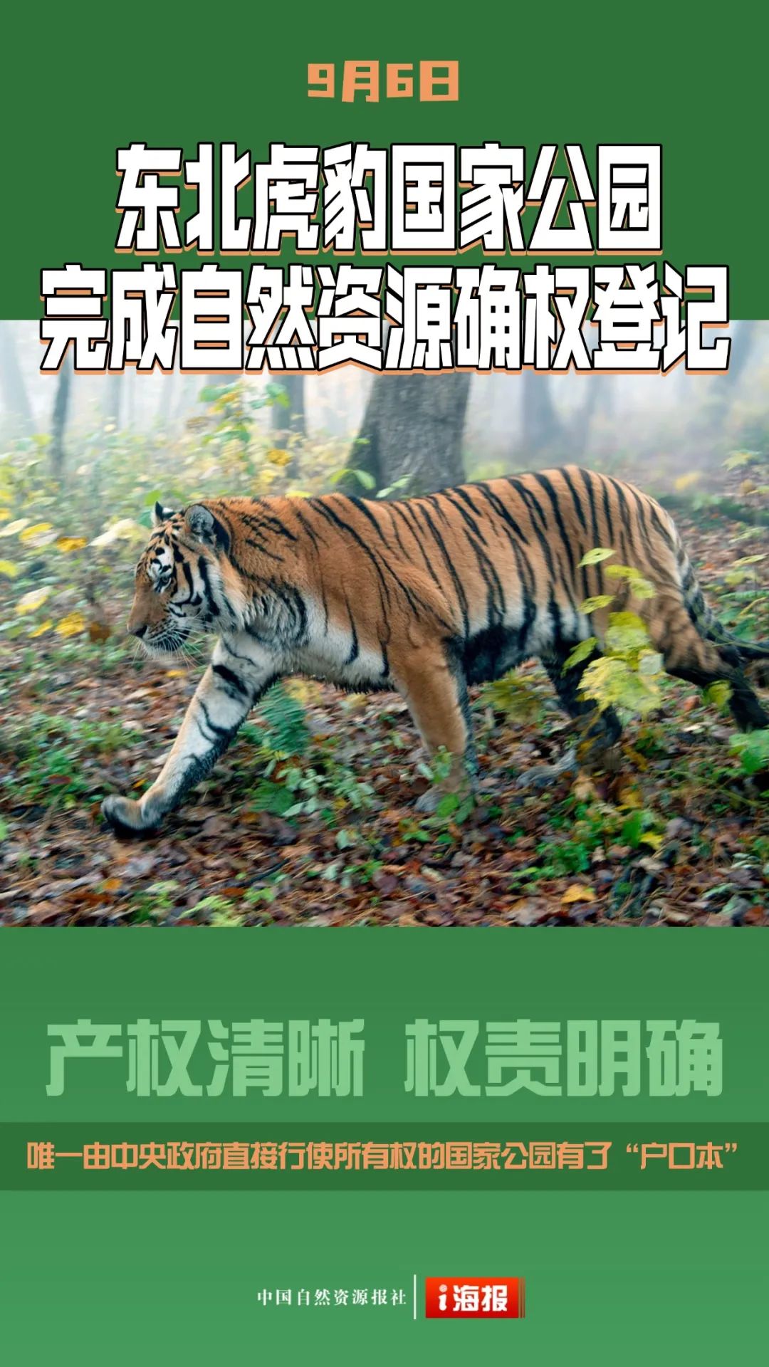 骄傲转起！盘点2024自然资源高燃瞬间