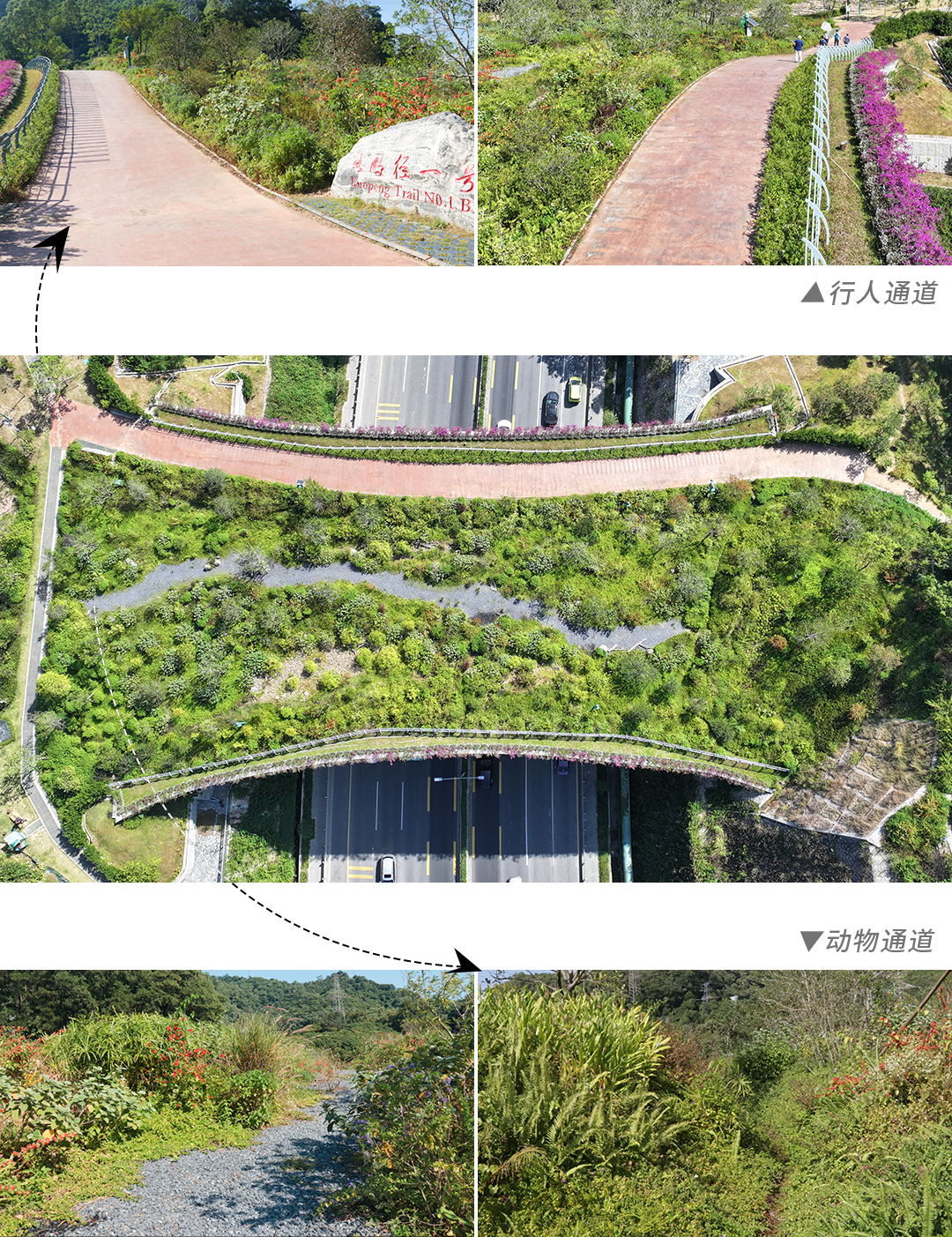规划师带你打卡鲲鹏径第七、八段 规划师带你打卡鲲鹏径第七、八段