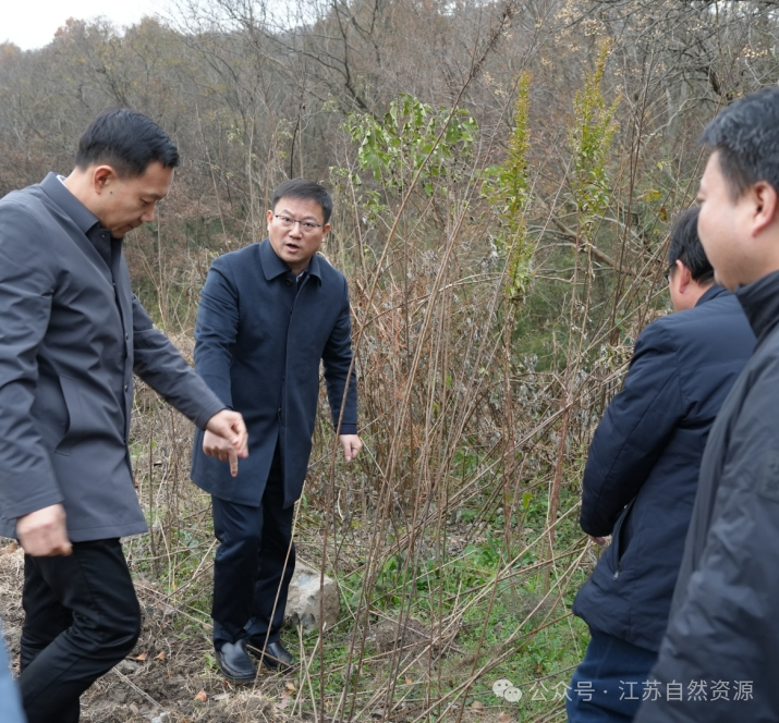 张国梁赴南京浦口调研指导加拿大一枝黄花除治工作