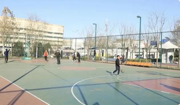 北京公园上新,这次在海淀、朝阳、顺义…… 北京公园上新,这次在海淀、朝阳、顺义……