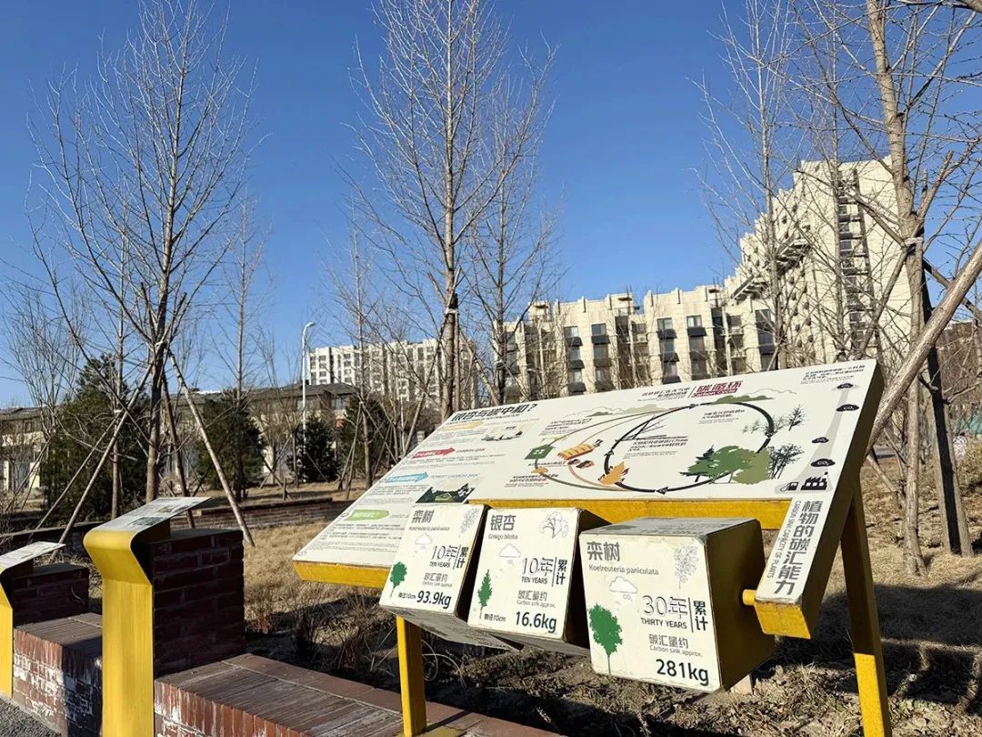 北京公园上新,这次在海淀、朝阳、顺义…… 北京公园上新,这次在海淀、朝阳、顺义……