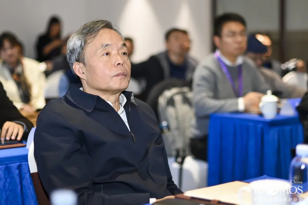 全国工程勘察设计大师张杰教授主持的历史城镇村的创新传承研讨会成功举办 全国工程勘察设计大师张杰教授主持的历史城镇村的创新传承研讨会成功举办