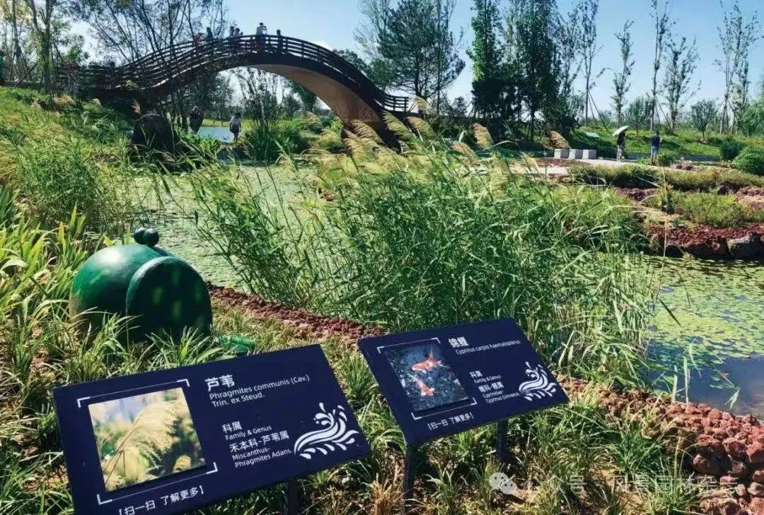 从城市中的公园到公园中的城市——北京温榆河公园的规划实践 从城市中的公园到公园中的城市——北京温榆河公园的规划实践