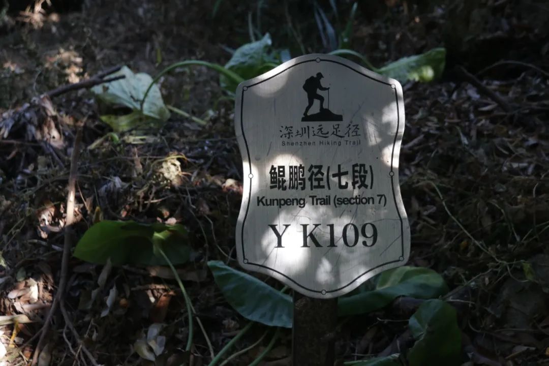 规划师带你打卡鲲鹏径第七、八段 规划师带你打卡鲲鹏径第七、八段