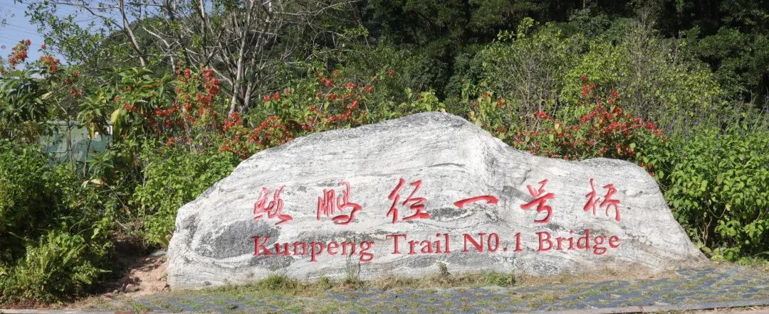 规划师带你打卡鲲鹏径第七、八段 规划师带你打卡鲲鹏径第七、八段
