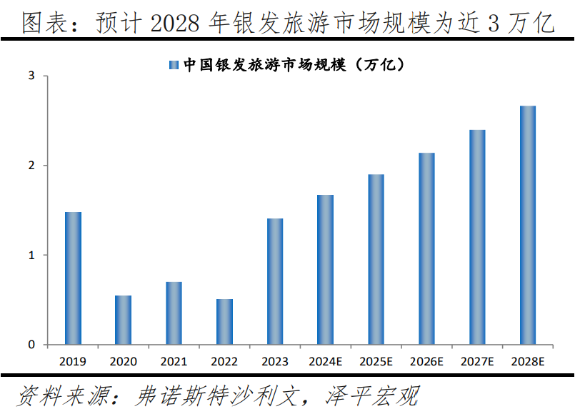 中国银发经济报告2024