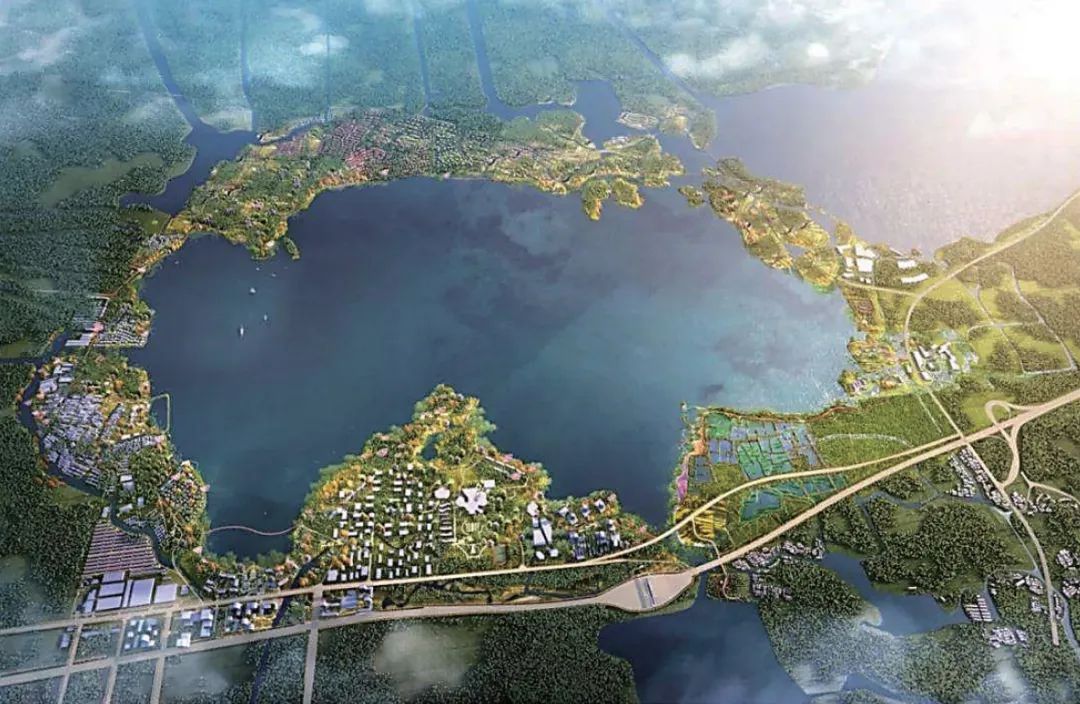 湾区观察⑬｜国内外湾区及城市群“市政基础设施协同发展”的经验借鉴