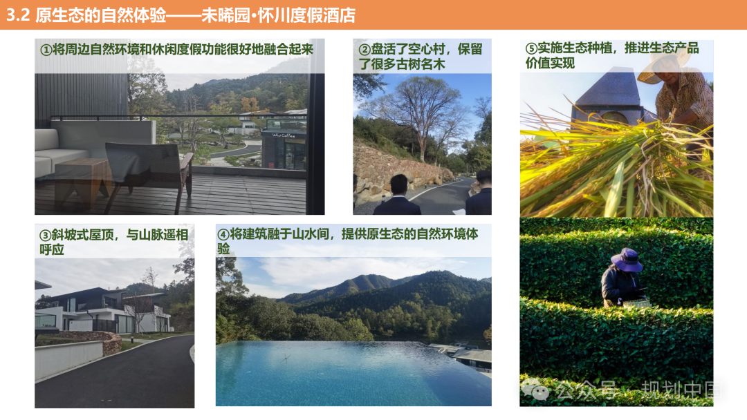 【洞见】青年学者快闪 · 第二届(2024)国际城市规划比较论坛 【洞见】青年学者快闪 · 第二届(2024)国际城市规划比较论坛