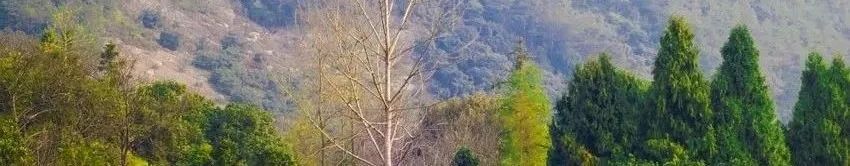 地方动态 | 《北京城市总体规划实施体检报告公众读本(2023年度)》发布 地方动态 | 《北京城市总体规划实施体检报告公众读本(2023年度)》发布