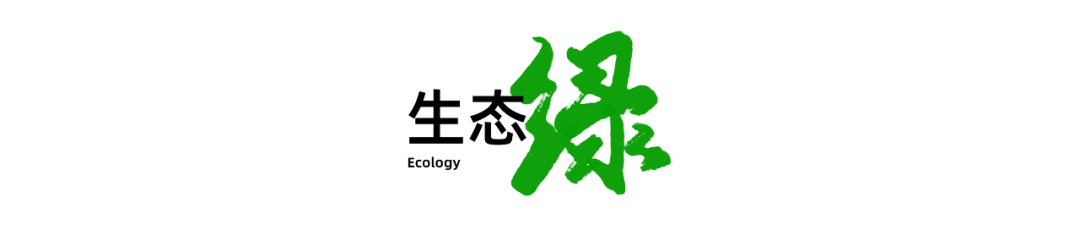 年度盘点:国色山河 年度盘点:国色山河