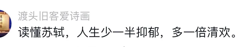北宋“第一网红”的人生，治好了我的精神内耗