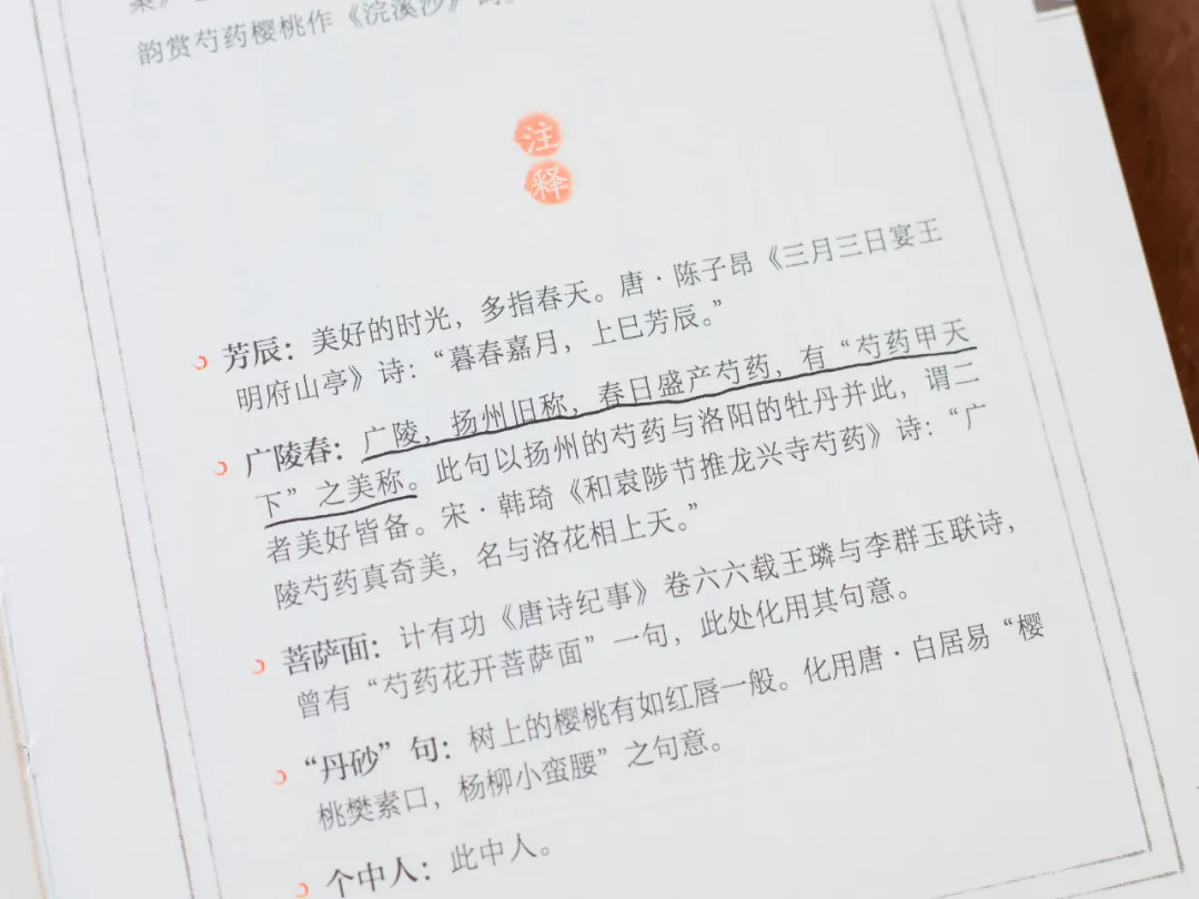 北宋“第一网红”的人生，治好了我的精神内耗