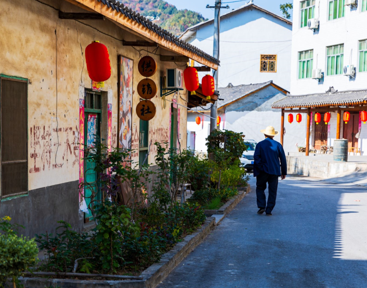 了解乡村，走近农民