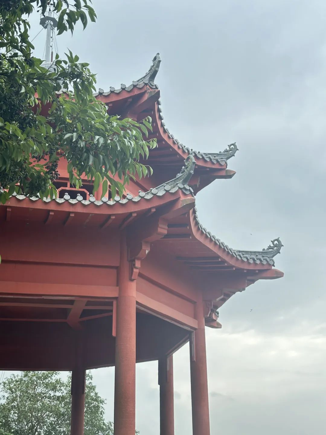 规划师带你打卡鲲鹏径第七、八段 规划师带你打卡鲲鹏径第七、八段