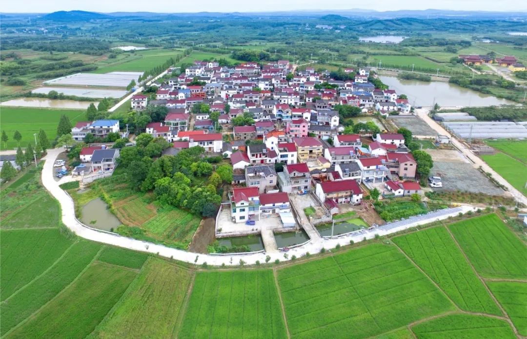 三年“长”出近96万亩耕地，江苏为什么能？