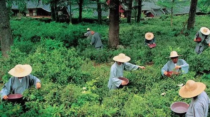 海外观察|古老农业的现代演绎——国际农业文化遗产保护利用的经验启示 海外观察|古老农业的现代演绎——国际农业文化遗产保护利用的经验启示