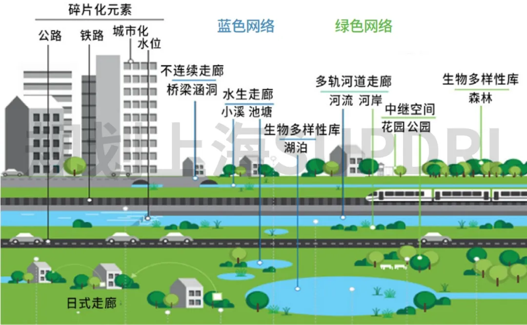 站在生态保护与城市发展的十字路口:巴黎生物多样性保护探索 站在生态保护与城市发展的十字路口:巴黎生物多样性保护探索