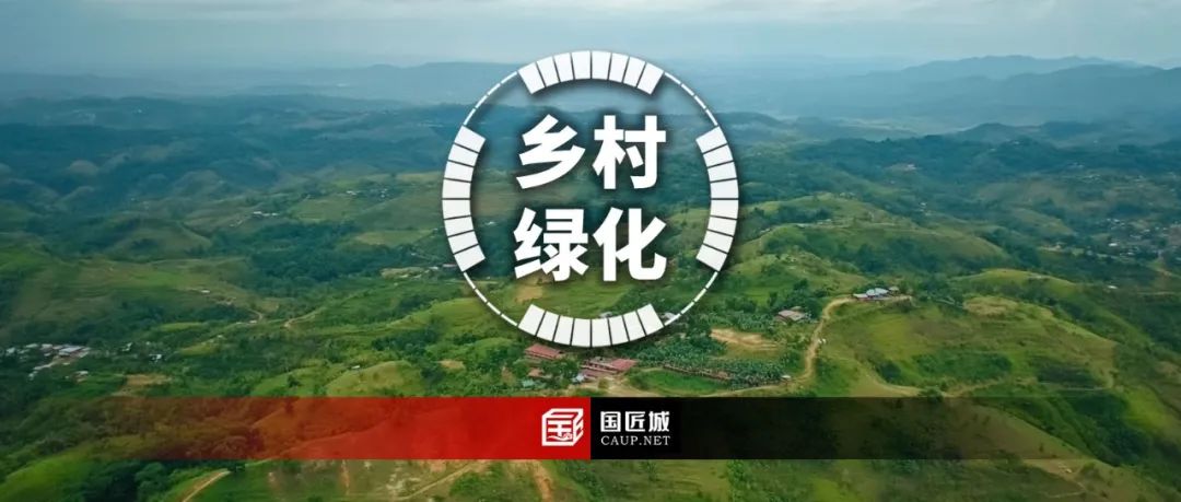 广东省：《广东省乡村绿化用地规划设计指引 (试行)》发布