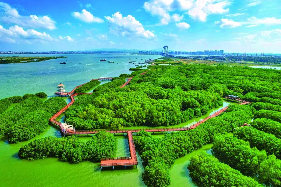 看海2024：碧波万顷间的壮丽诗篇