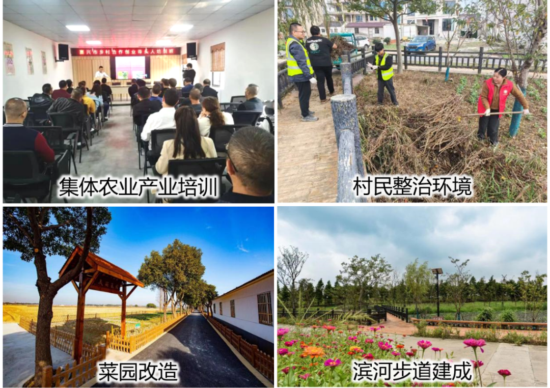 同衡助力乡村振兴，探寻苏州村规路径