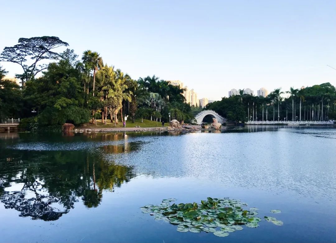 适老化建设,年轻的深圳准备好了么? 适老化建设,年轻的深圳准备好了么?