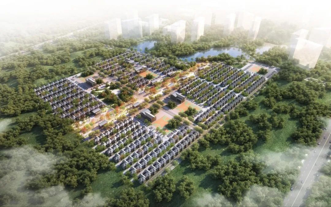 年度盘点｜项目为王、要素保障，国土空间规划新导向