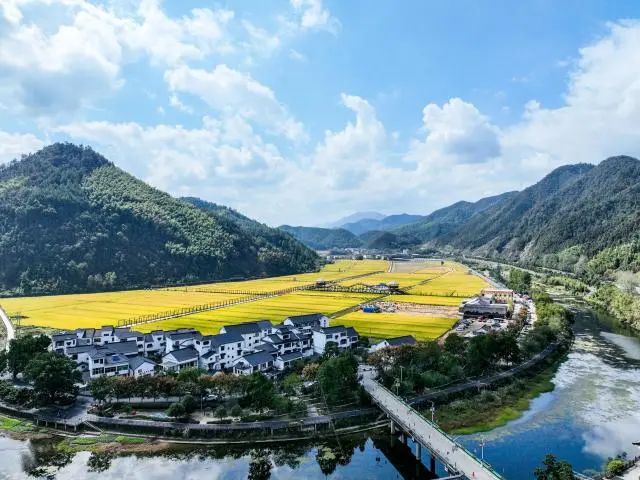 聚民心、稳改革、促共富 市土地房屋征收中心（市国土整治中心）：为“奋进新时代、建设新天堂”提供有力支撑