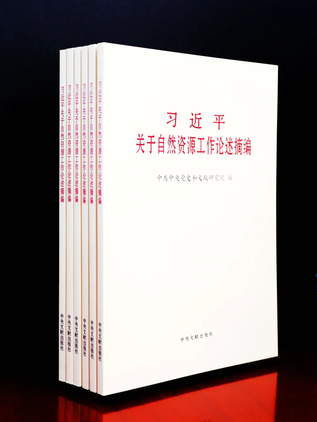 2024自然资源工作答卷之十：这一年，我们党建引领、凝心铸魂