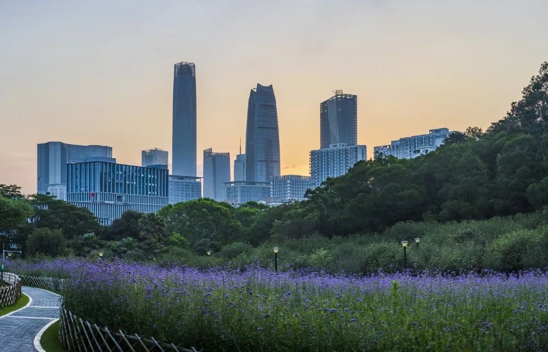 李晓江 | 现象级城市东莞