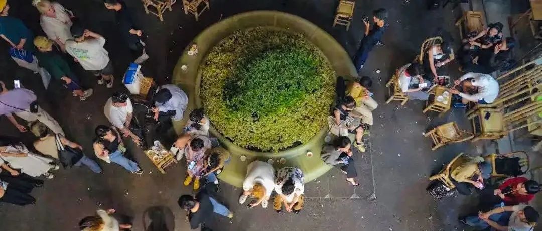 浙江服务区商业：把服务区做成了一项“隐秘生意”