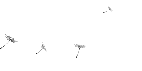 2024• 陆期“TOD在发展中国家的实践专题”抢先看 2024• 陆期“TOD在发展中国家的实践专题”抢先看