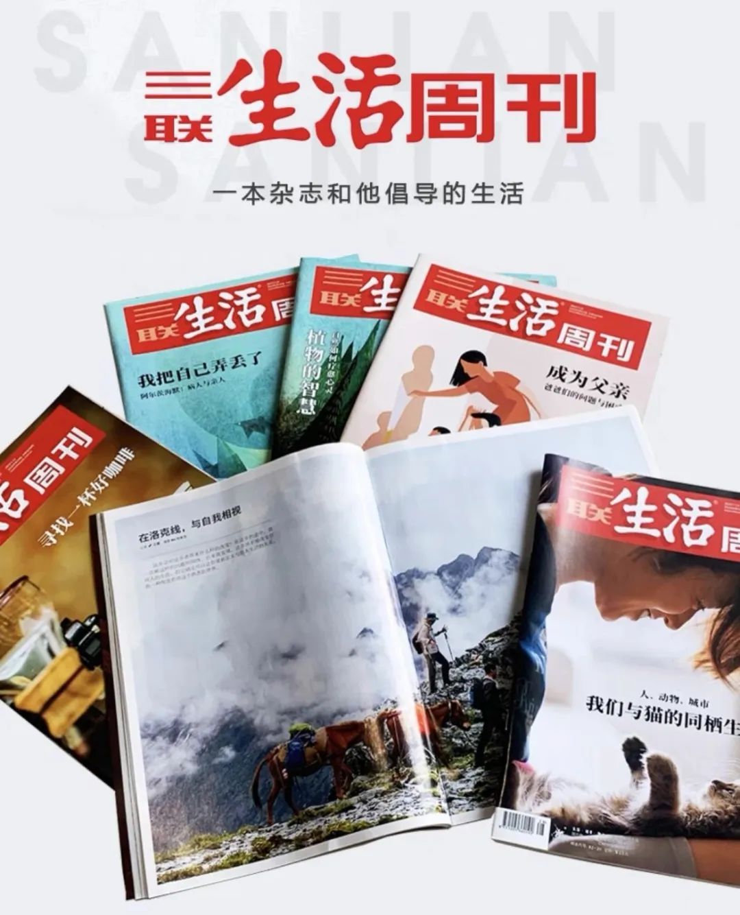 三联生活周刊，刺痛了多少中国人