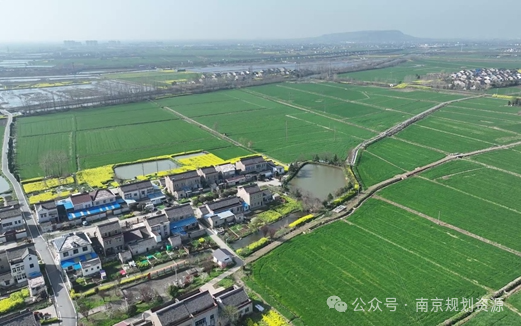 提笔，写不尽这一年 | 基层亮点巡礼之六合分局