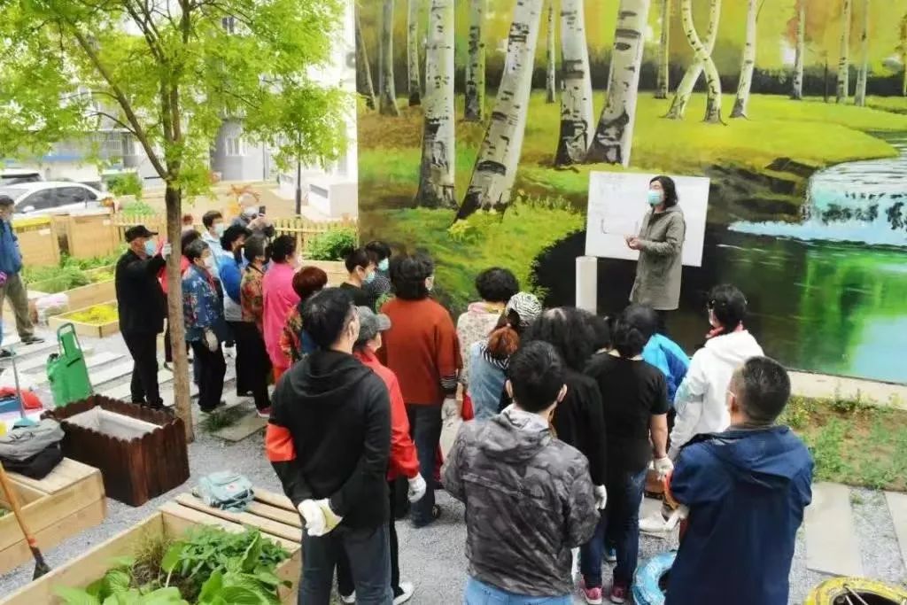 基于共享心智模型的北京社区花园共建决策机制研究|社区设计师 基于共享心智模型的北京社区花园共建决策机制研究|社区设计师