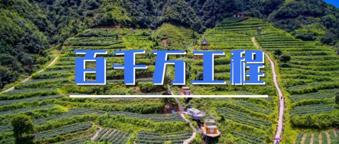 百千万工程㉑|绘出乡村美景,我心中的“从化粤美乡村”活动成功举办 百千万工程㉑|绘出乡村美景,我心中的“从化粤美乡村”活动成功举办