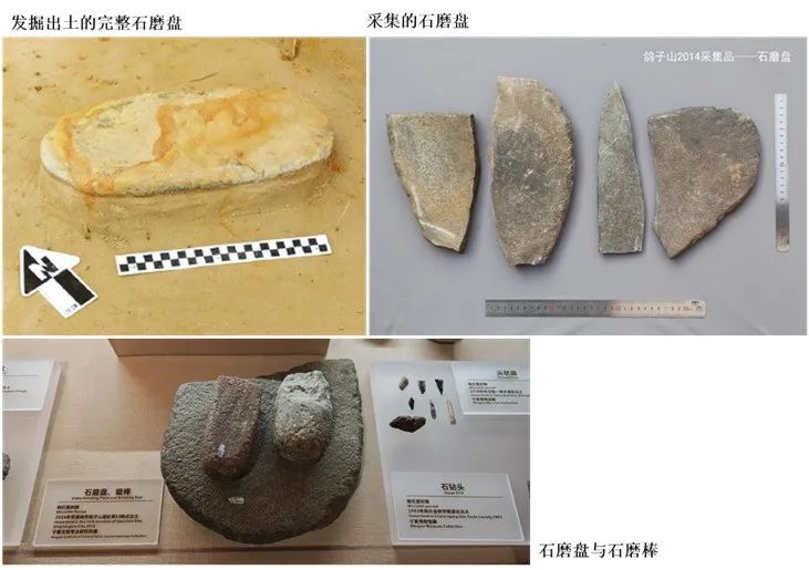 新仙女木事件下的人类抉择——鸽子山下的古人从搜索狩猎走向采集农耕 | 遗产撷英 新仙女木事件下的人类抉择——鸽子山下的古人从搜索狩猎走向采集农耕 | 遗产撷英
