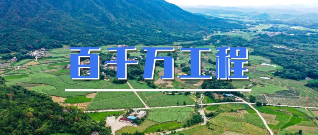 百千万工程㉔|宁波象山:“三权分置”解锁共同富裕密码 百千万工程㉔|宁波象山:“三权分置”解锁共同富裕密码