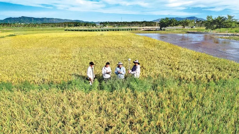 换羽新生，硬本领交出优秀答卷