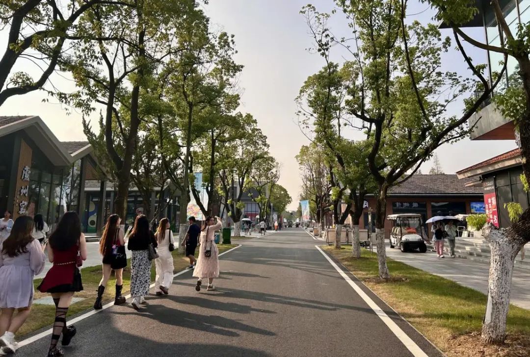 春节征集 | 更新思度——走在苏州的老石板路有感