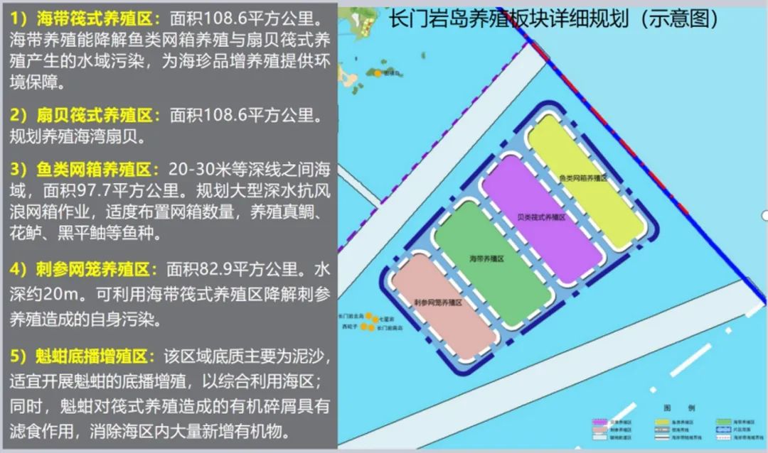 学术报告 | 王天青：海域国土空间详细规划编制技术研究与实践探索——以青岛市为例