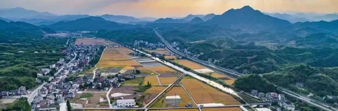2025年中央一号文件发布