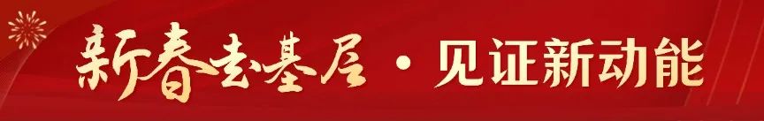 安徽六安金安区：绘出新生活 垦出幸福田