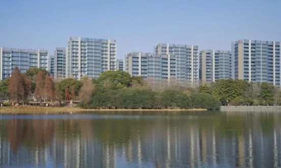 把好建筑“风貌关” 看钱塘如何让城市更“出彩”